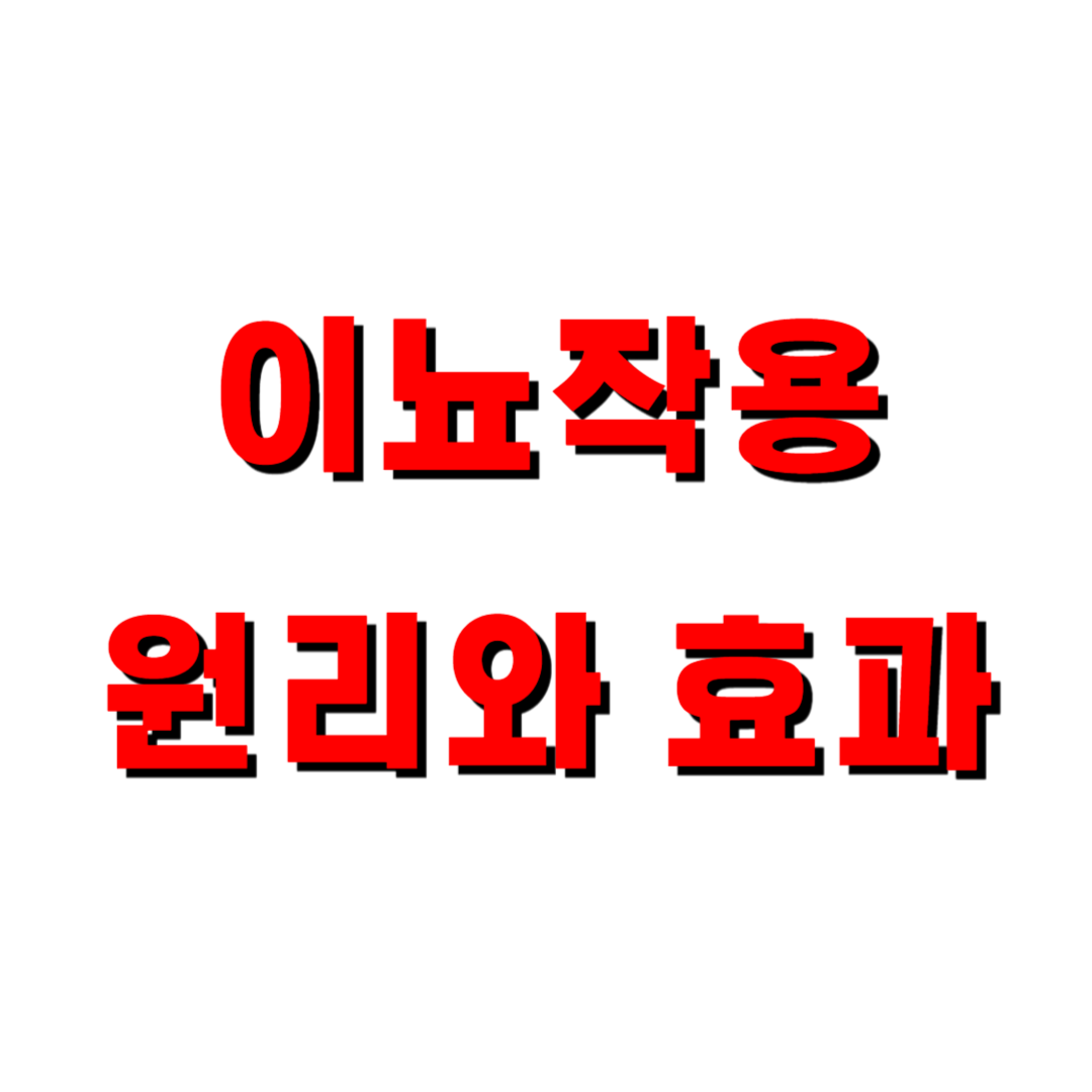 이뇨작용의 원리와 효과
