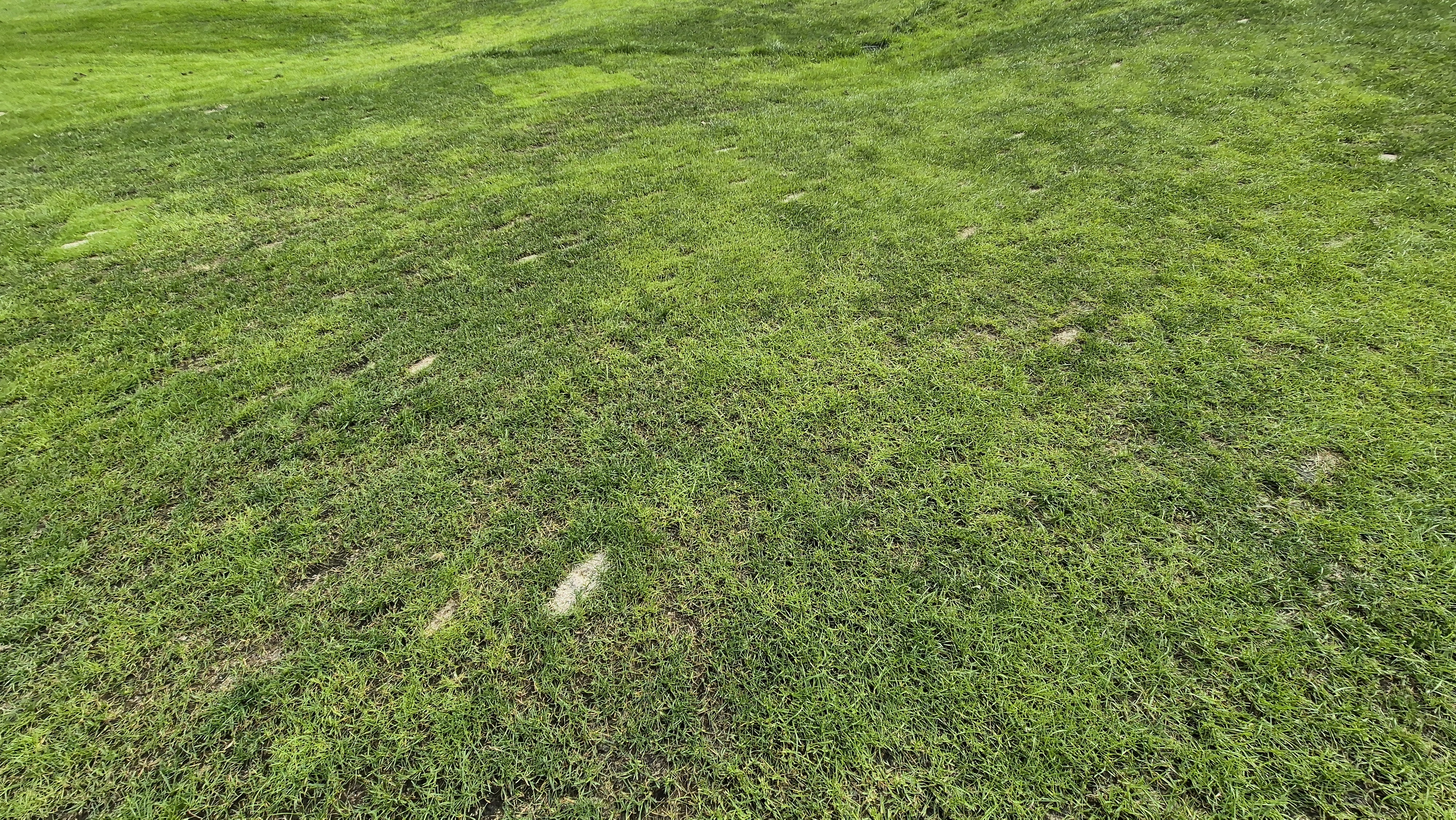 블랙스톤 벨포레cc 코스 관리 상태