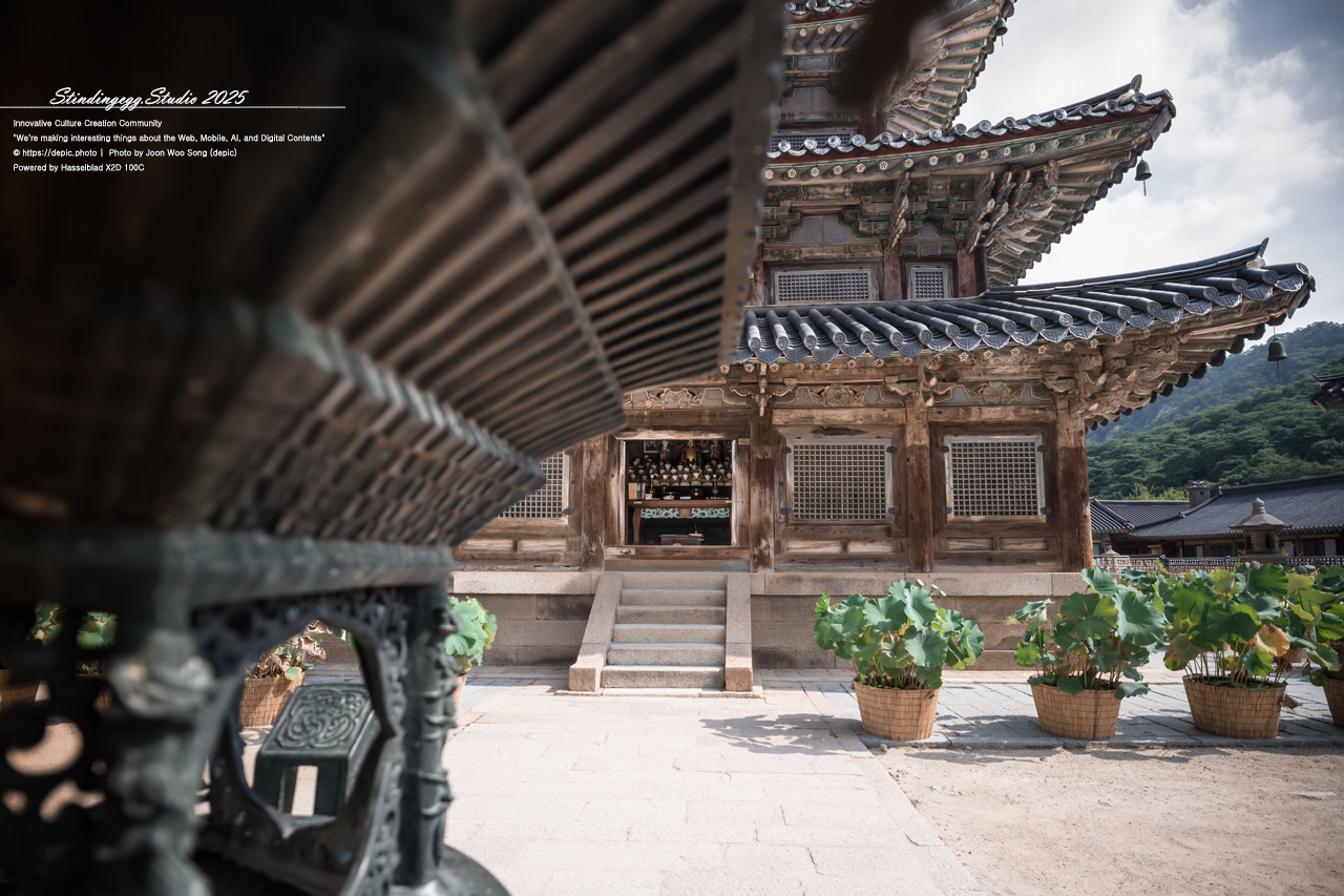 #보은 #속리산 #법주사 #사찰 #불교