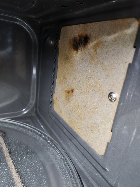 전자레인지 불꽃