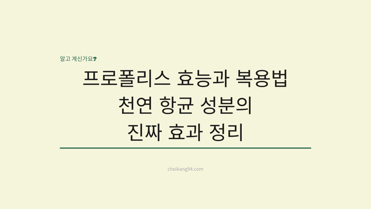 프로폴리스 효능과 복용법: 천연 항균 성분의 진짜 효과와 선택 기준 완벽 정리