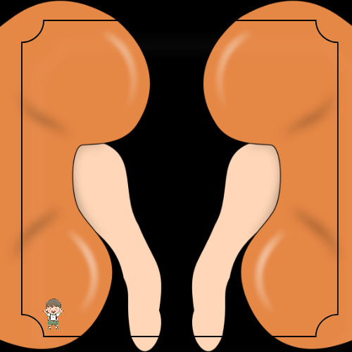 요로결석 증상