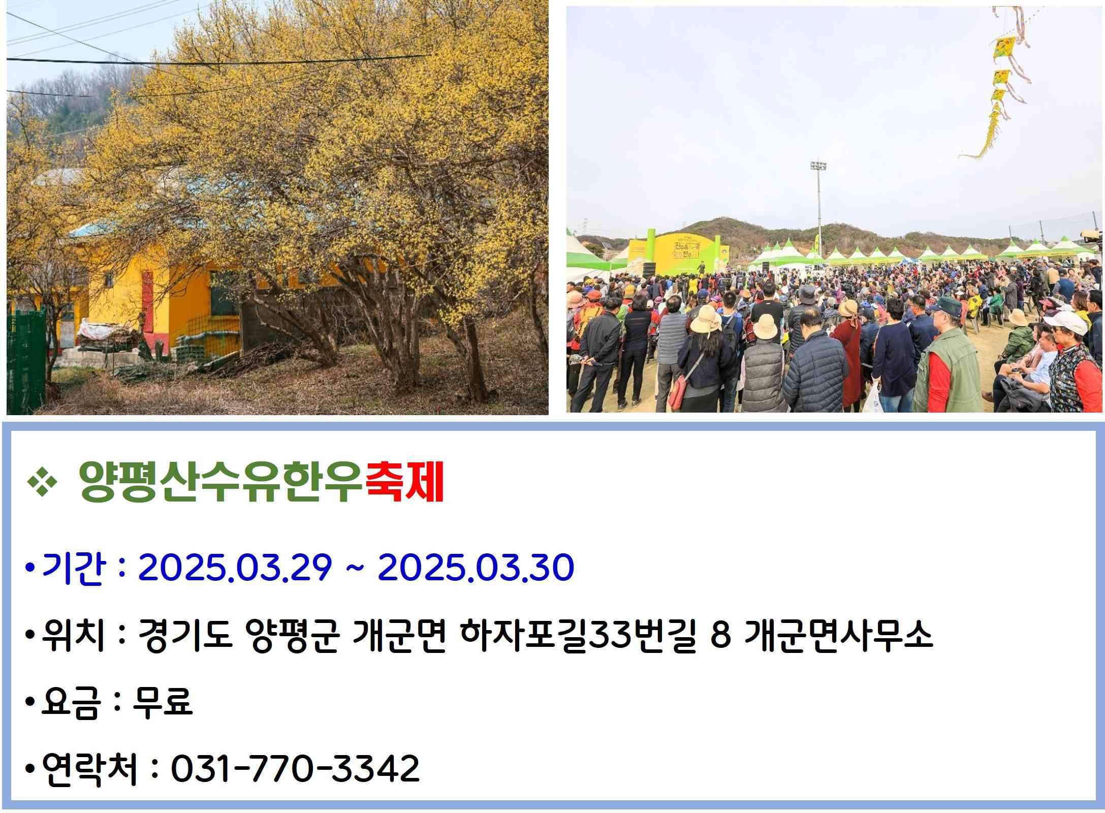 양평산수유한우 축제
