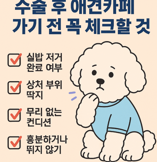 수술 후 애견카페 가기 전 꼭 체크할 것들