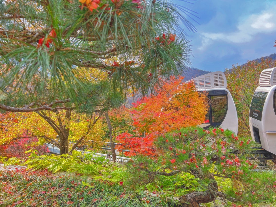 화담숲-예약-방법-2025년-최신-입장료-완벽-가이드