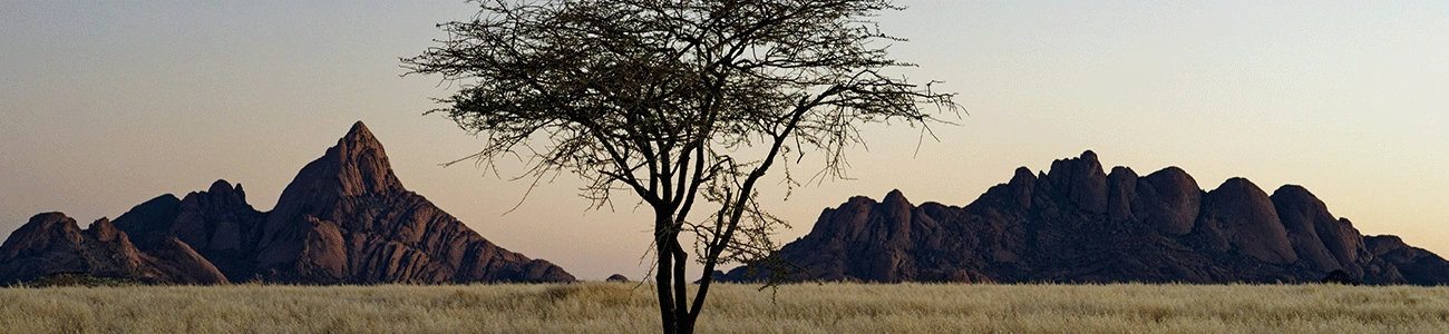 Free images and creative work images used on the blog