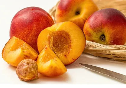 딸 낳은 방법-음식