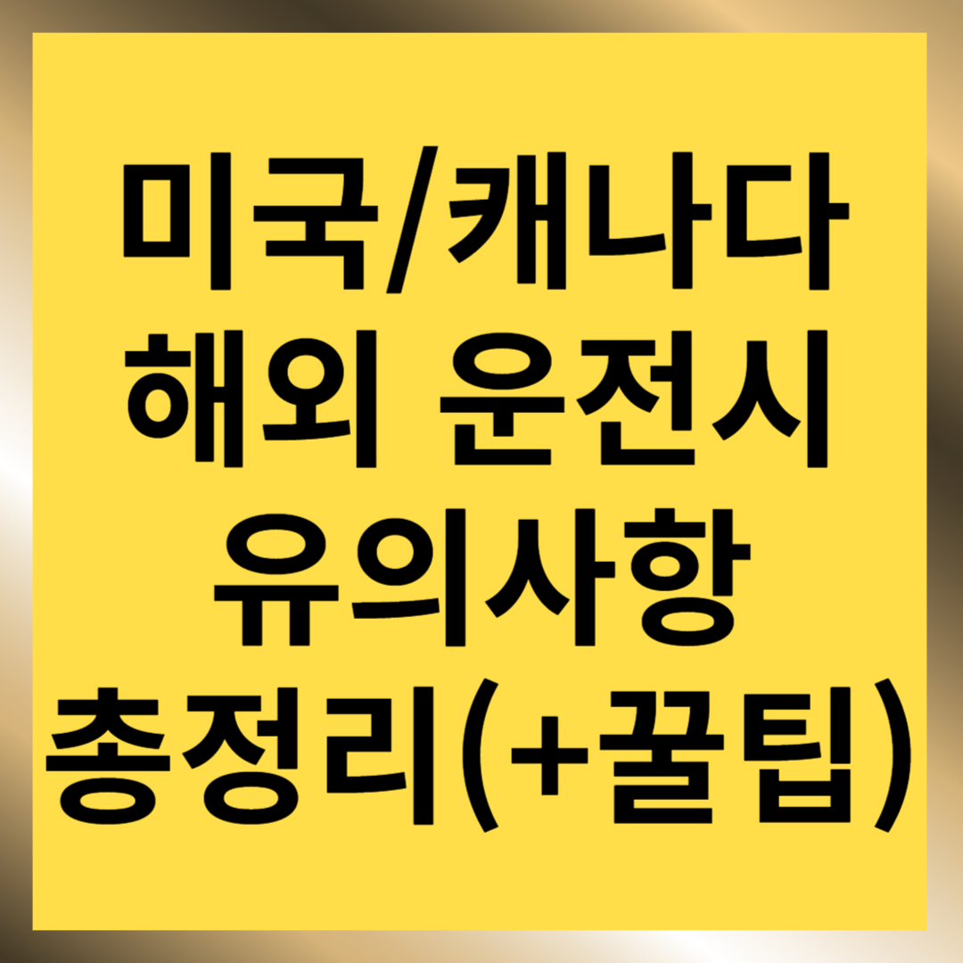 해외 운전 시 유의사항 총정리 아메리카(미국, 캐나다)