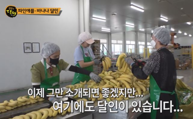 바나나 달인