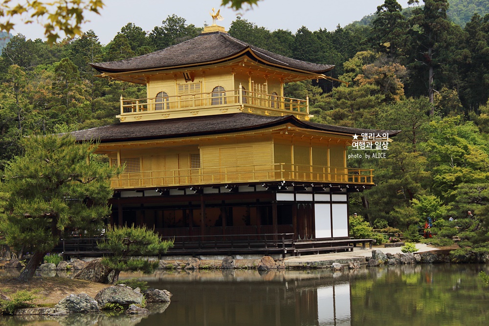 일본 여행, 교토 버스투어 현대카드 × kkday 일본여행 30% 할인