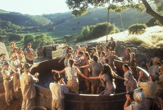 구름 속위 산책 관련 사진