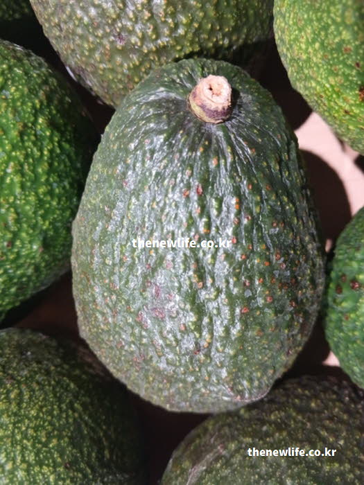 아보카도 효능의 다양한 요리 활용과 영양 가치를 담아낸 실사진