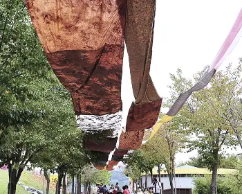 청도 반시축제_5