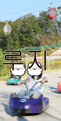 강화 루지&amp;#44; 케이블카 요금