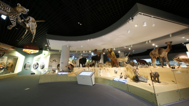 상주 곶감축제 기본정보