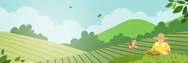 농민수당 자격 확인