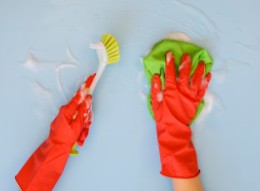 벽지-곰팡이-제거-방법-4