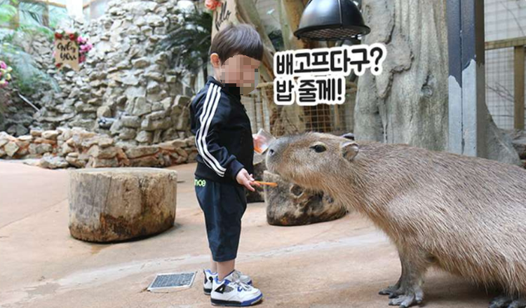 대구 네이처파크 체험프로그램