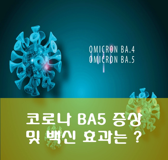 코로나 BA5