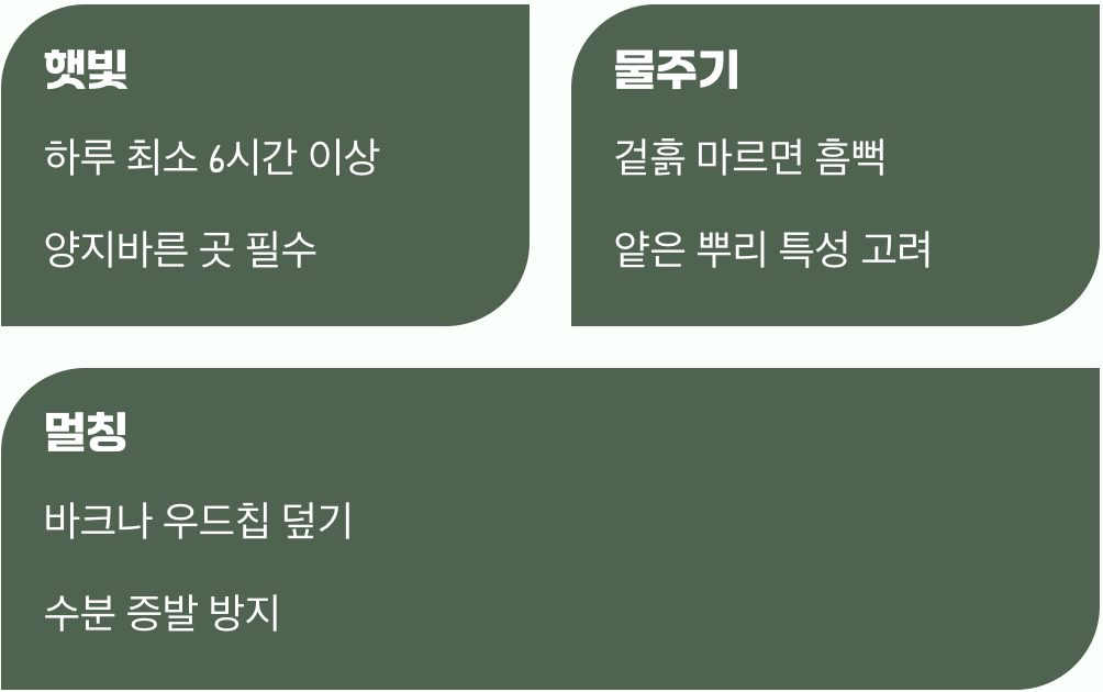 햇빛과 물&amp;#44; 아낌없이 주세요