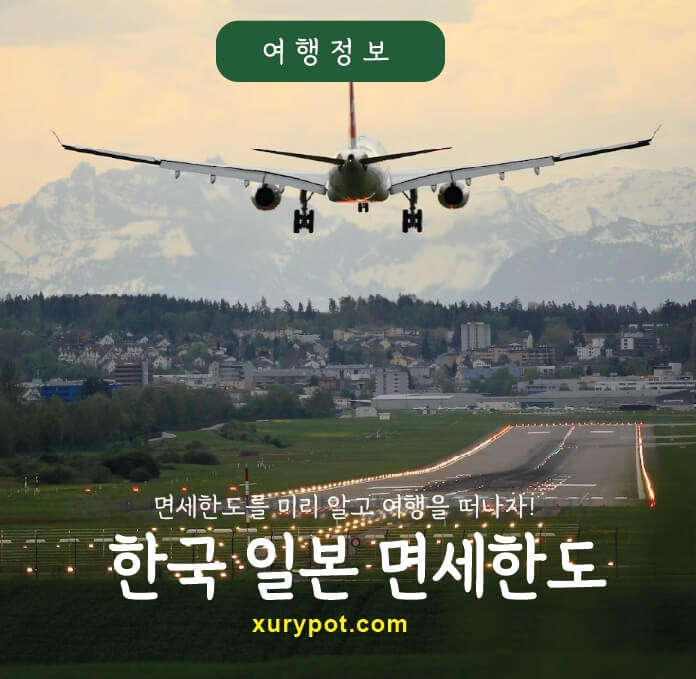 비행기착륙장면