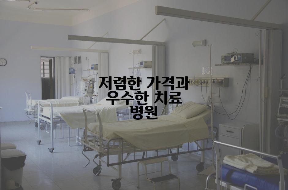 저렴한 가격과 우수한 치료 병원