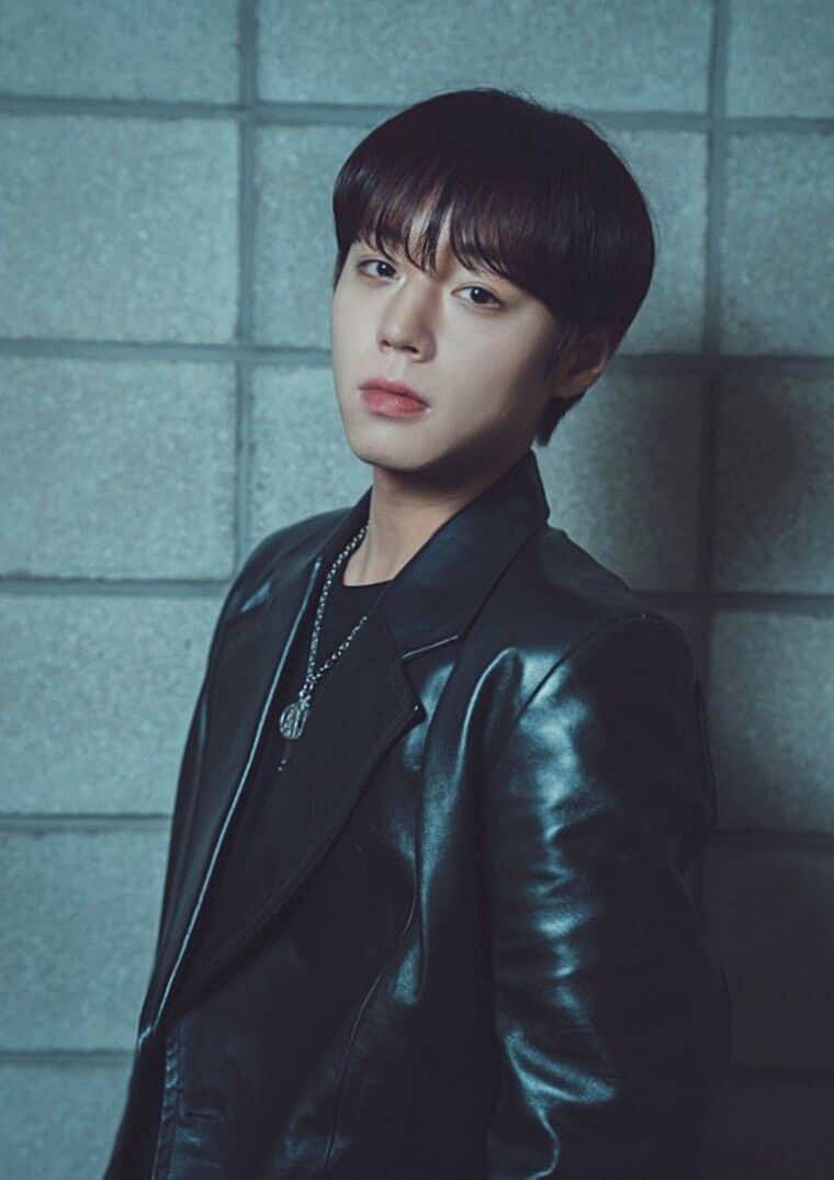 배우-박지훈