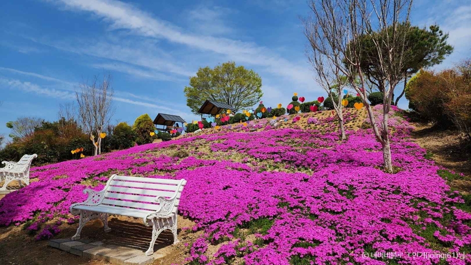 진안꽃잔디동산
