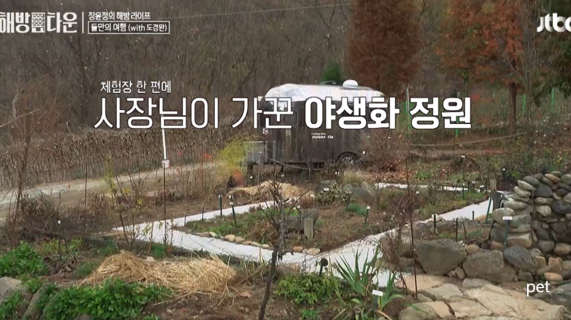 경기-연천-아미골캠핑장-예약-방법-애견-동반-가격-주소-시간-후기