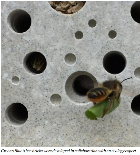 벌 보호를 위한 벽돌...도시계획법에 아예 규정화 Bee bricks become planning requirement for new buildings in Brighton