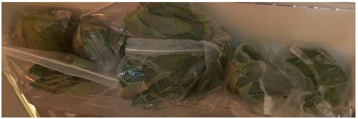 냉장고에깻잎보관하기