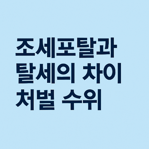 조세포탈과 탈세의 차이 및 처벌 수위