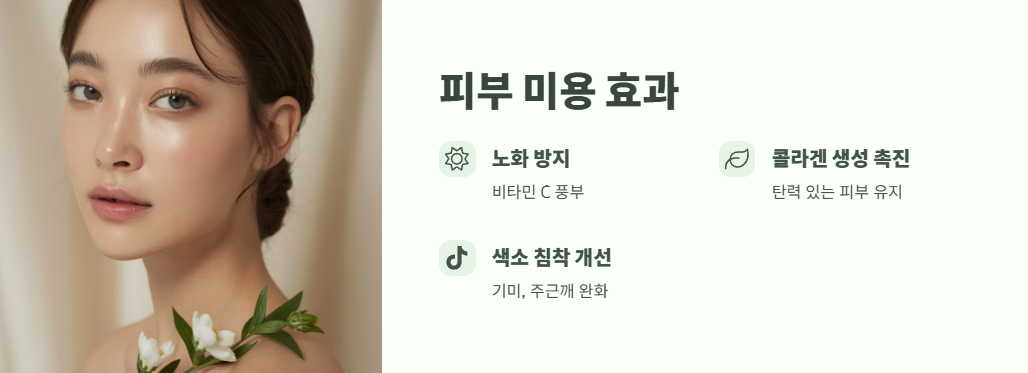 보리수 열매 효능 쉽게 정리 5