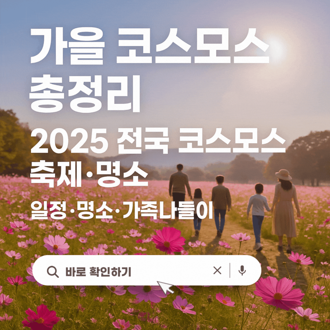 2025년 코스모스 축제 가이드