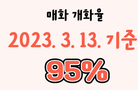 광양 매화축제 개화율