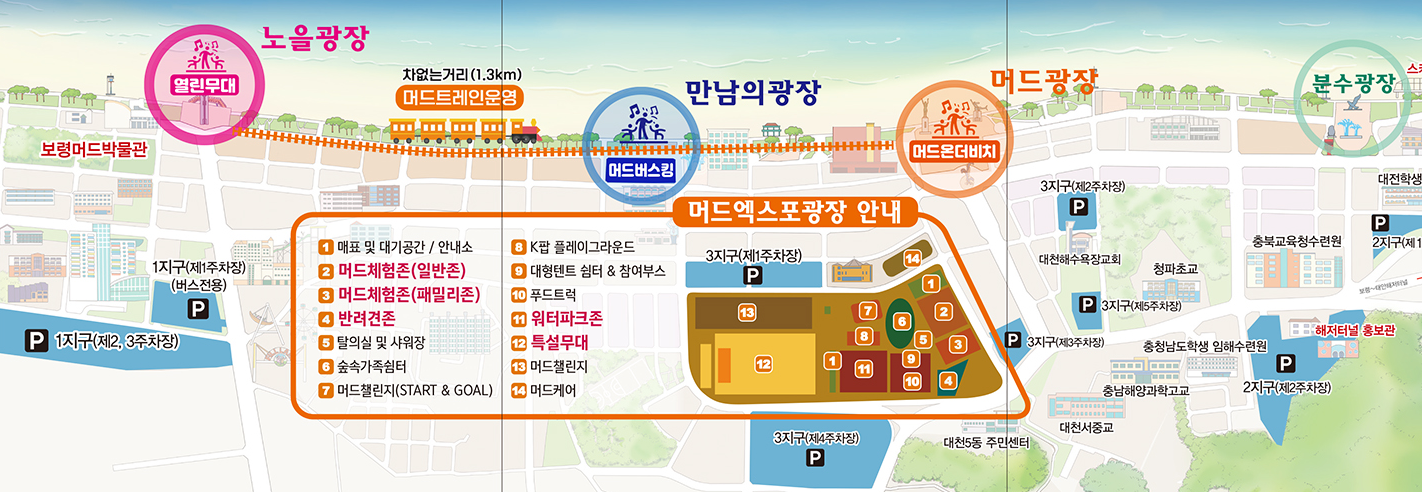 보령머드축제