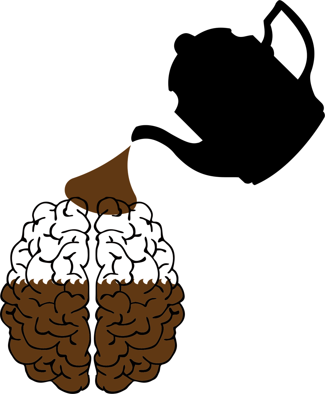 카페인과 기억력: 진짜 도움 될까, 해로울까?