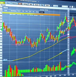 MACE 지표 확인하는 방법