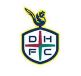 알트태그-대전 하나시티즌 엠블럼