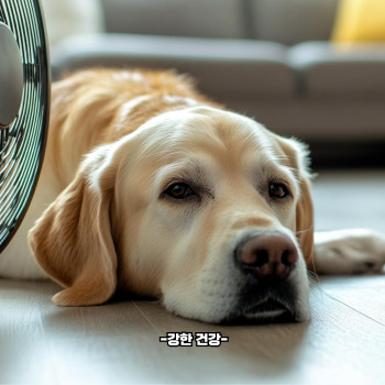 폭염주의보 기준