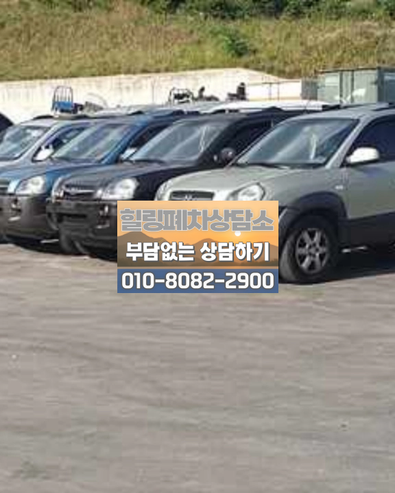 장기 방치 차량 번호판 훼손 확인