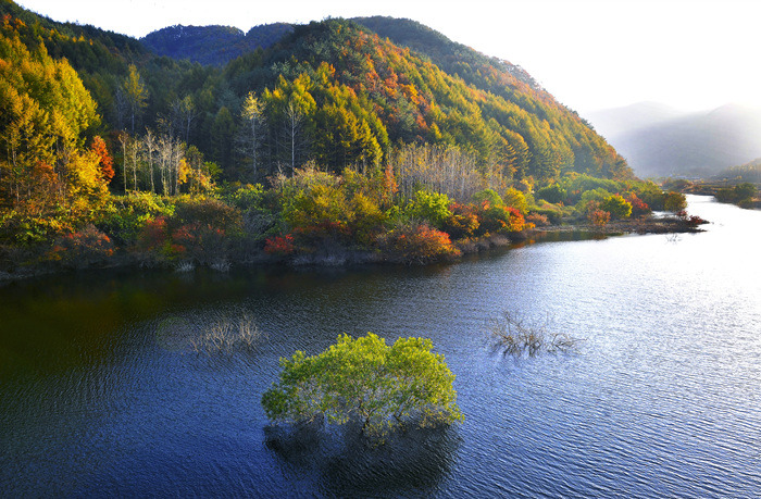 2025 제15회 진안고원 수박축제 완벽 가이드 &amp;#124; 한여름 달콤한 진안 여행의 필수 코스