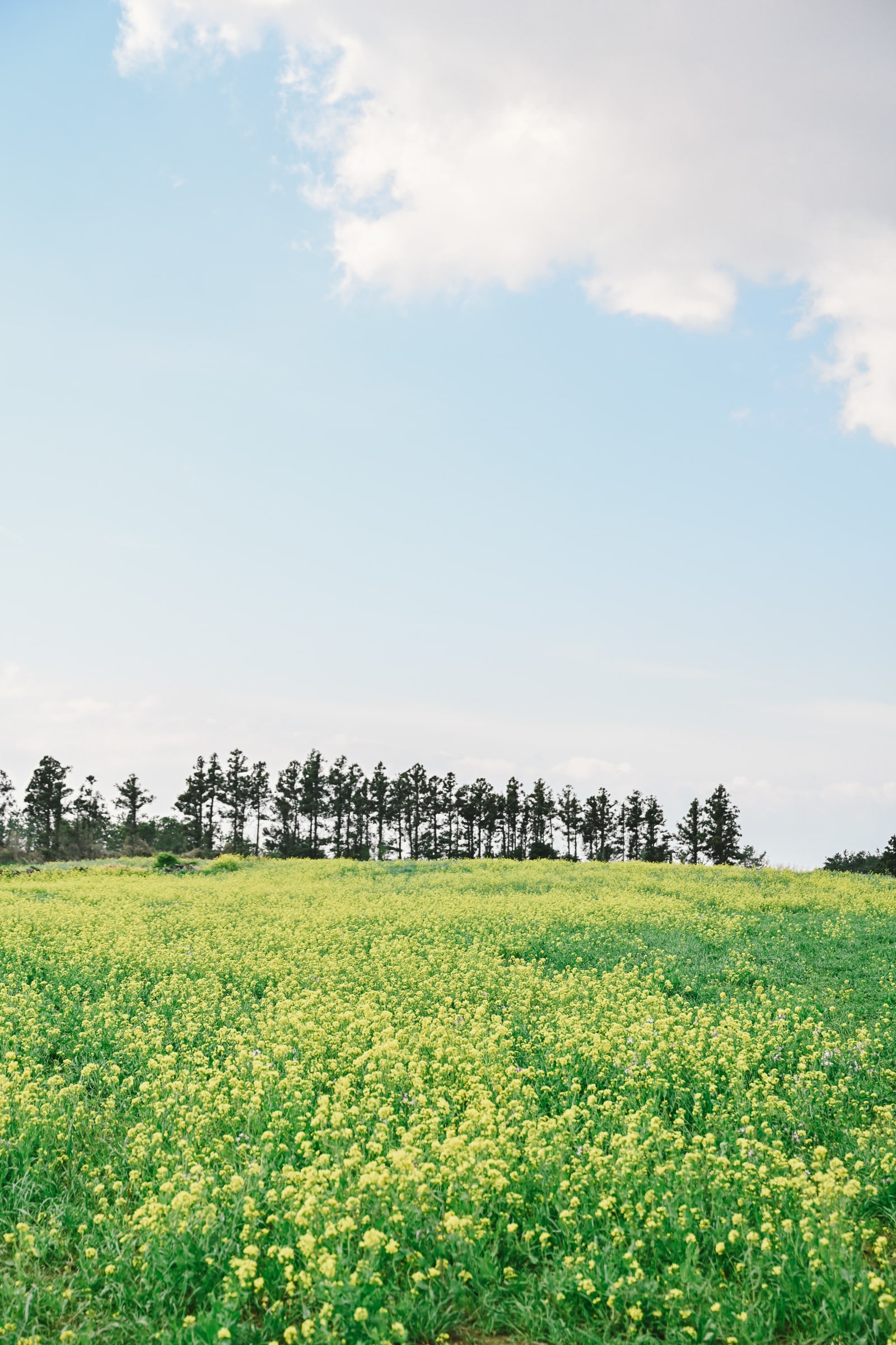 엄지사진관 제주 포토에세이
