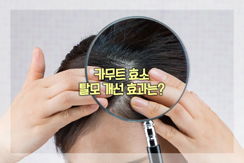 카무트 효소 탈모 개선 효과