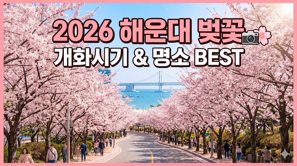 해운대 벚꽃 명소