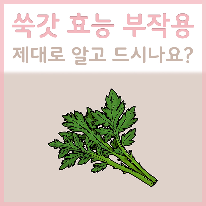 쑥갓