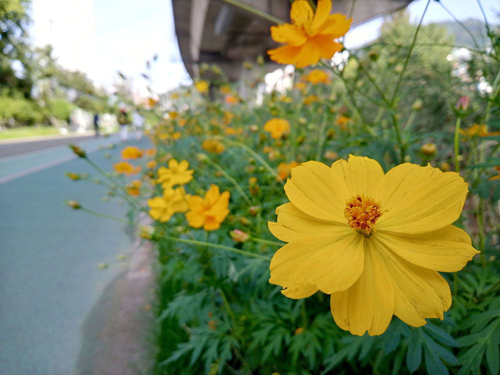 이마트24 10월 오만보 걷기챌린지