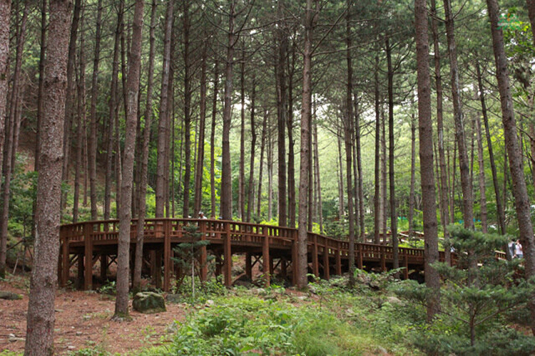 산음 자연휴양림