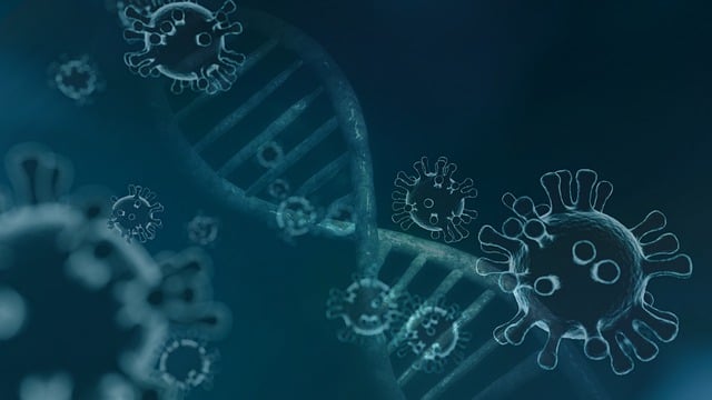 RNA 바이러스와 DNA 바이러스 차이