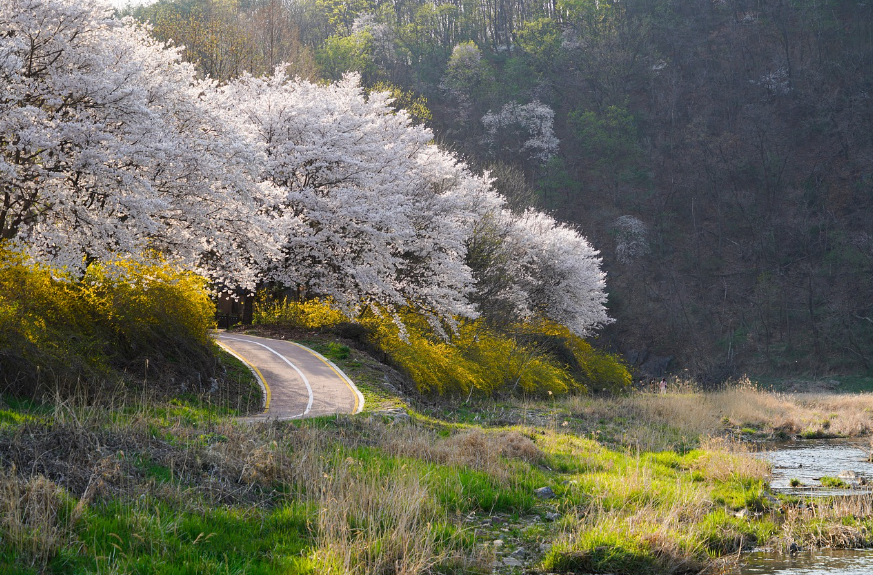 힐링 코스 vs 챌린지 코스 둘레길 비교